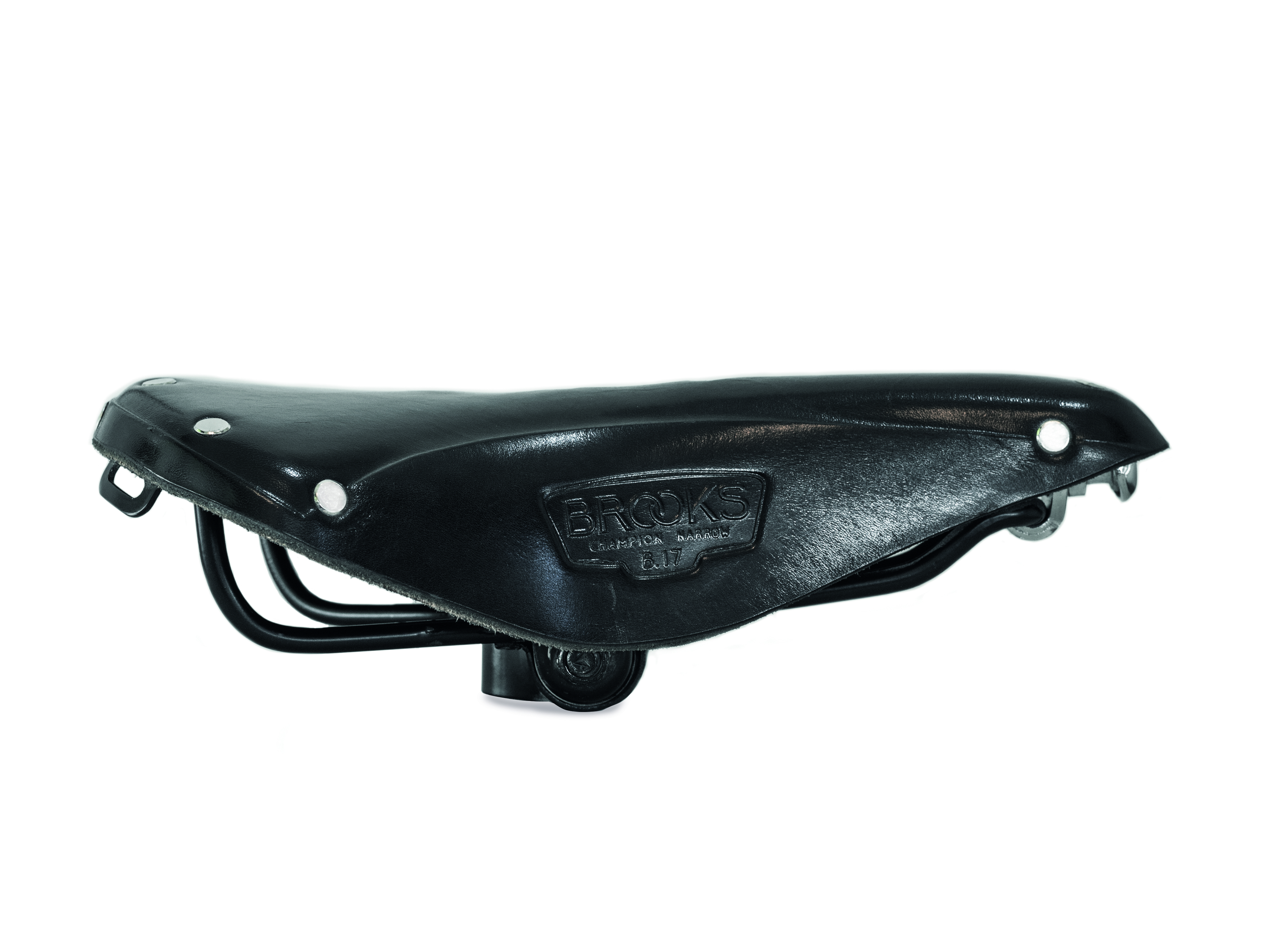 Brooks saddle